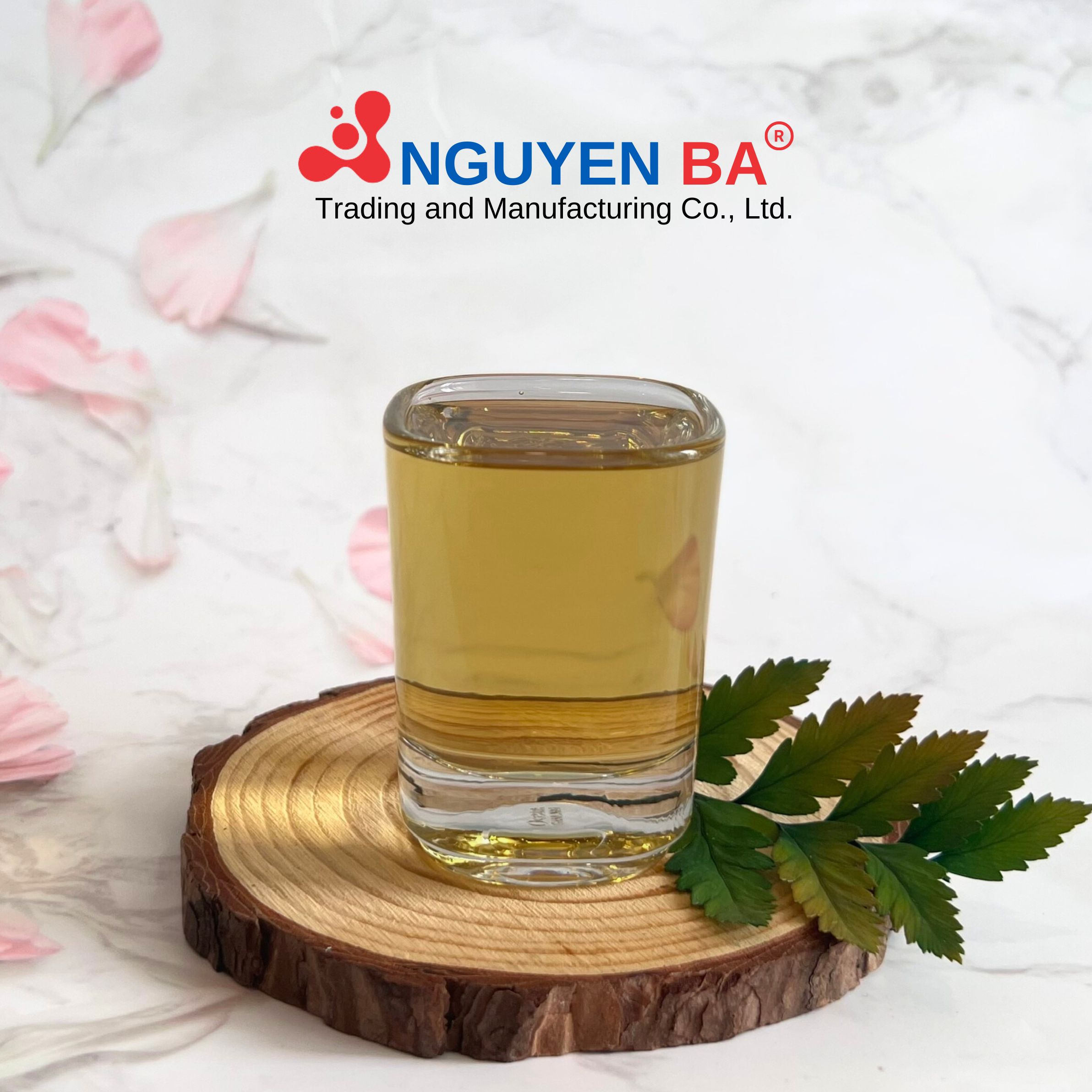Centella asiatica leaf extract